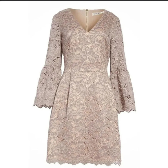 Eliza J Fit & Flare Lace Dress Sz 6 - Picture 1 of 12